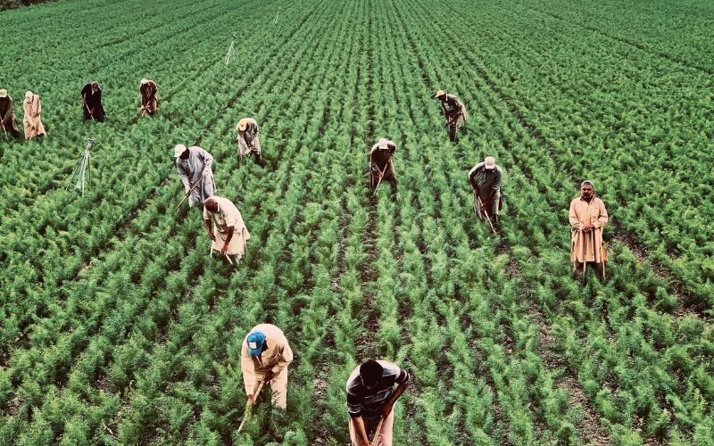 Giá trị sống_ LAO ĐỘNG