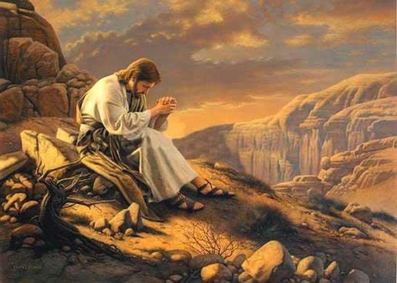 Hạt Giống Nảy Mầm_Thứ 3 tuần XXIII Thường Niên_Lc 6,12-19