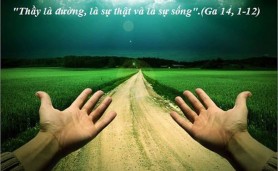 Bài Học Từ Lời Chúa _ Chúa Nhật 5 PS_ Ga 14:1-12