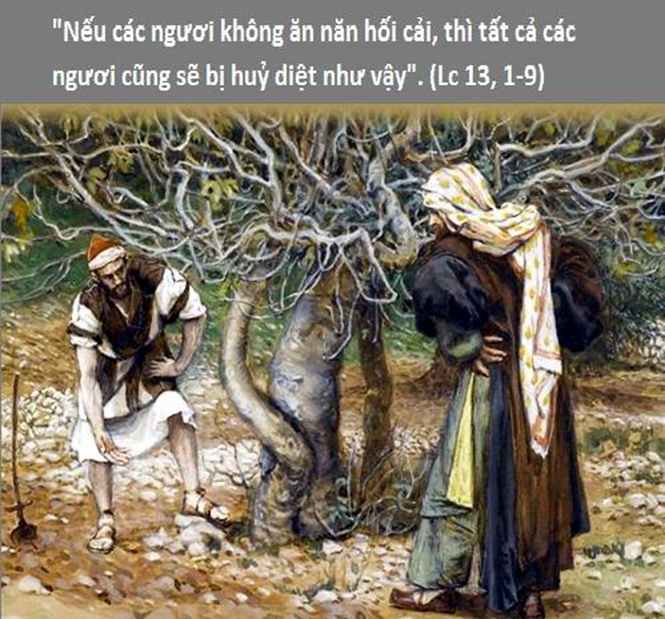 Bài học từ Lời Chúa_Chúa Nhật III Mùa Chay_Năm C_ Lc 13:1-9