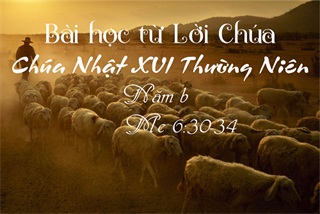 Bài học Lời Chúa_Chúa Nhật XVI Thường Niên_Mc 6:30-34