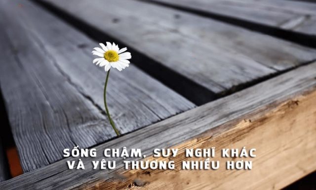 Thứ 6 Tuần 29 TNA_Lc 12,54-59