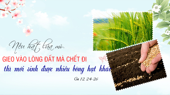 Thứ 5 Tuần 18 A- TN _ Ga 12, 24- 26. Thánh Lorenxo, Phó Tế, Tử đạo