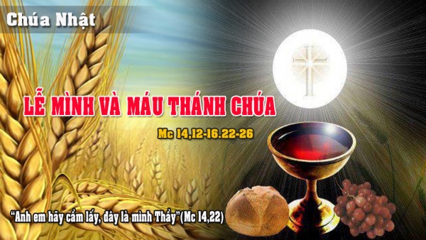 Bài Học Từ Lời Chúa _ Chúa Nhật Mình Máu Thánh Chúa Giêsu_ Ga 6:51-58